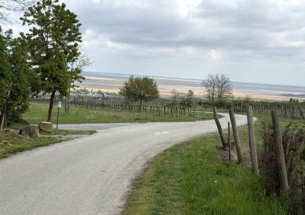 image	4				