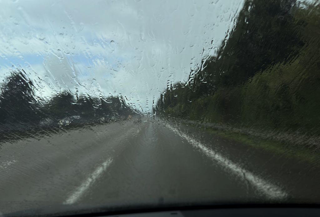 image	3				
